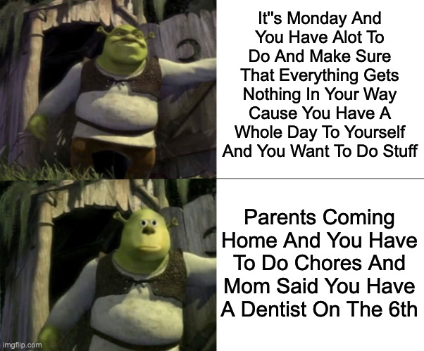 Shocked Shrek Face Swap |  It''s Monday And
You Have Alot To
Do And Make Sure
That Everything Gets
Nothing In Your Way
Cause You Have A
Whole Day To Yourself
And You Want To Do Stuff; Parents Coming Home And You Have To Do Chores And Mom Said You Have A Dentist On The 6th | image tagged in shocked shrek face swap,relatable,memes,funny,fun,funny memes | made w/ Imgflip meme maker