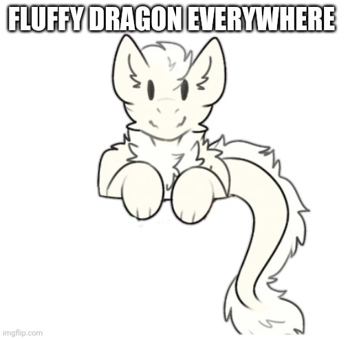 Fluffy dragon | FLUFFY DRAGON EVERYWHERE | image tagged in fluffy dragon | made w/ Imgflip meme maker
