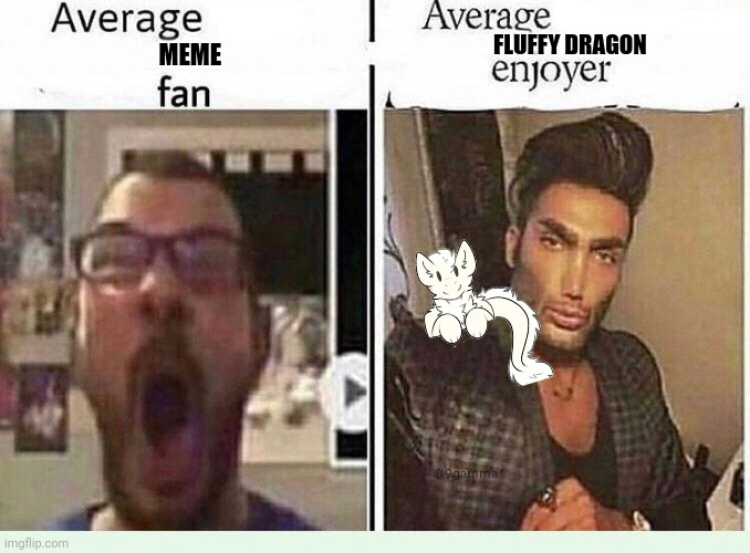 Average *BLANK* Fan VS Average *BLANK* Enjoyer | FLUFFY DRAGON; MEME | image tagged in average blank fan vs average blank enjoyer | made w/ Imgflip meme maker
