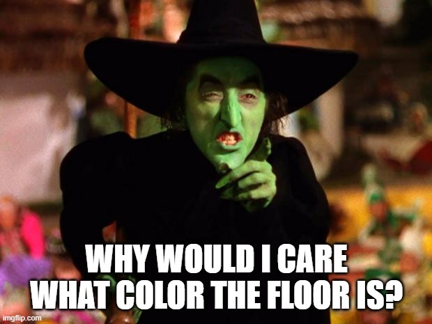 wicked witch  | WHY WOULD I CARE WHAT COLOR THE FLOOR IS? | image tagged in wicked witch | made w/ Imgflip meme maker