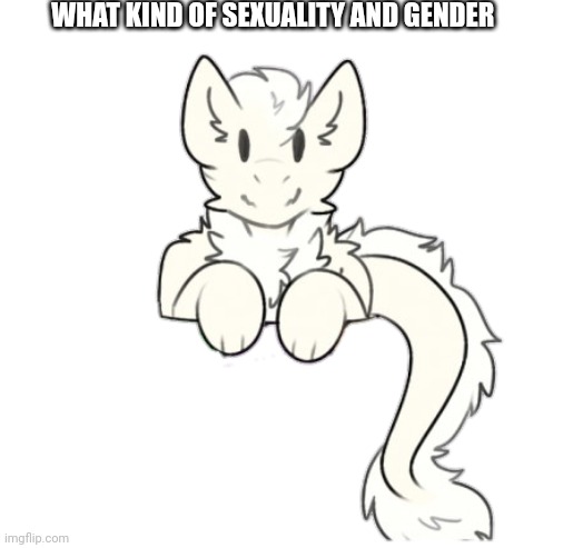 Fluffy dragon | WHAT KIND OF SEXUALITY AND GENDER | image tagged in fluffy dragon | made w/ Imgflip meme maker