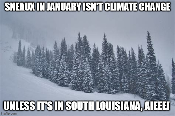 Sneaux In January |  SNEAUX IN JANUARY ISN'T CLIMATE CHANGE; UNLESS IT'S IN SOUTH LOUISIANA, AIEEE! | image tagged in climate change,louisiana | made w/ Imgflip meme maker