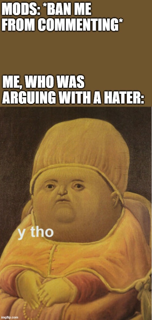 So it's just fine when YOU do it? | MODS: *BAN ME FROM COMMENTING*; ME, WHO WAS ARGUING WITH A HATER: | image tagged in y tho baby | made w/ Imgflip meme maker