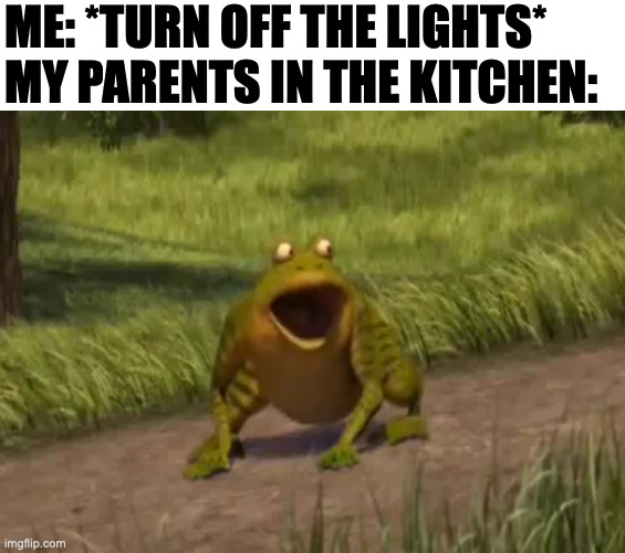 Shrek frog screaming | ME: *TURN OFF THE LIGHTS*
MY PARENTS IN THE KITCHEN: | image tagged in shrek frog screaming,shrek,memes,meme,funny,fun | made w/ Imgflip meme maker