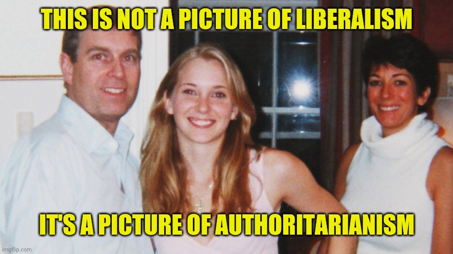 THIS IS NOT A PICTURE OF LIBERALISM; IT'S A PICTURE OF AUTHORITARIANISM | made w/ Imgflip meme maker