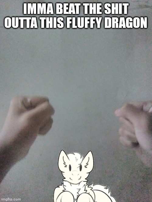 IMMA BEAT THE SHIT OUTTA THIS FLUFFY DRAGON | made w/ Imgflip meme maker