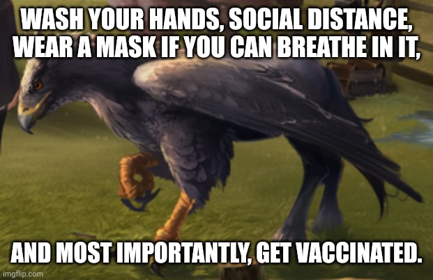 Hippogriff | WASH YOUR HANDS, SOCIAL DISTANCE, WEAR A MASK IF YOU CAN BREATHE IN IT, AND MOST IMPORTANTLY, GET VACCINATED. | image tagged in hippogriff | made w/ Imgflip meme maker