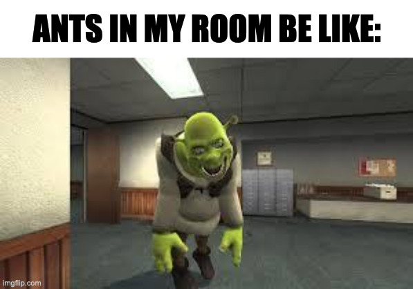 funny shrek wallpaper