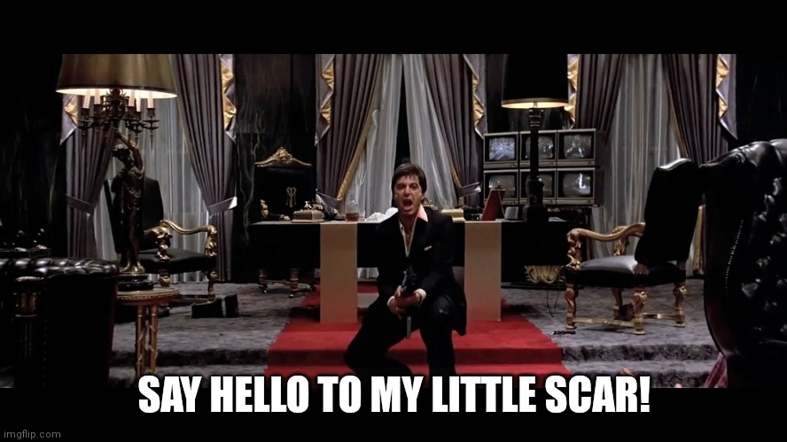 Say Hello to my little friend | SAY HELLO TO MY LITTLE SCAR! | image tagged in say hello to my little friend | made w/ Imgflip meme maker