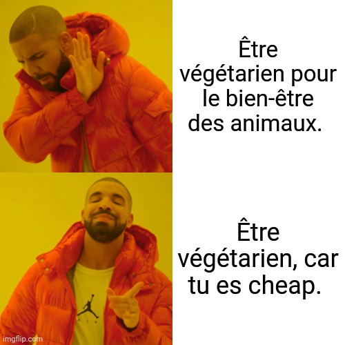 Drake Hotline Bling Meme | Être végétarien pour le bien-être des animaux. Être végétarien, car tu es cheap. | image tagged in memes,drake hotline bling | made w/ Imgflip meme maker