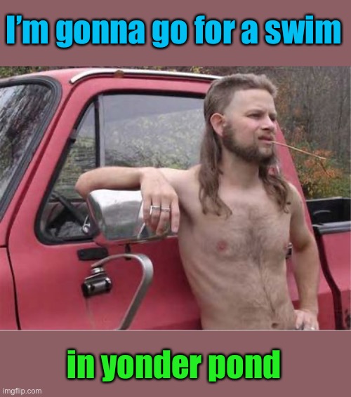 Hillbilly Mullet | I’m gonna go for a swim in yonder pond | image tagged in hillbilly mullet | made w/ Imgflip meme maker
