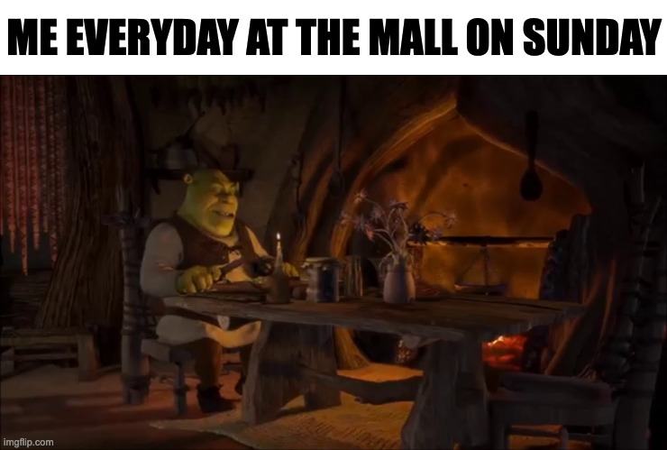 Lonely Shrek | ME EVERYDAY AT THE MALL ON SUNDAY | image tagged in lonely shrek,relatable,shrek,memes,funny,funny memes | made w/ Imgflip meme maker