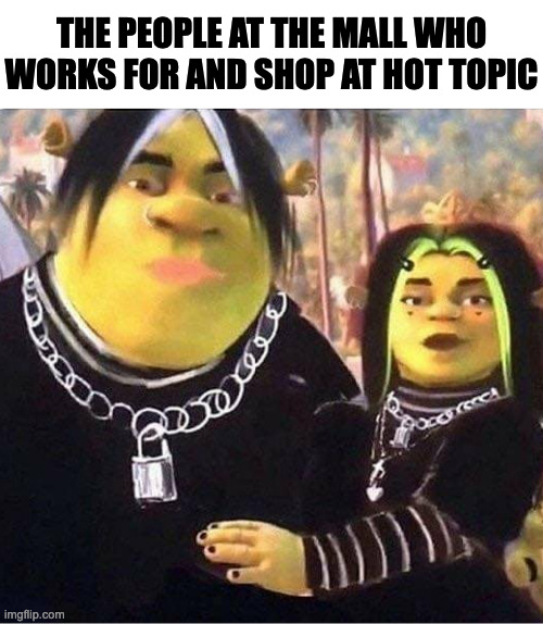 Shrek | THE PEOPLE AT THE MALL WHO
WORKS FOR AND SHOP AT HOT TOPIC | image tagged in shrek,memes,meme,funny,fun,funny memes | made w/ Imgflip meme maker
