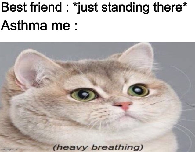 I’m just there trying to survive | Best friend : *just standing there*; Asthma me : | image tagged in blank white template,disease,heavy breathing cat | made w/ Imgflip meme maker