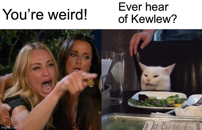Woman Yelling At Cat Meme | You’re weird! Ever hear of Kewlew? | image tagged in memes,woman yelling at cat | made w/ Imgflip meme maker