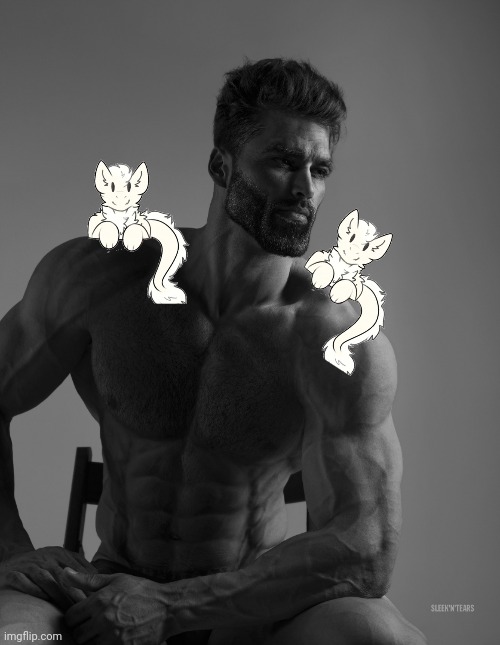 Giga Chad | image tagged in giga chad | made w/ Imgflip meme maker