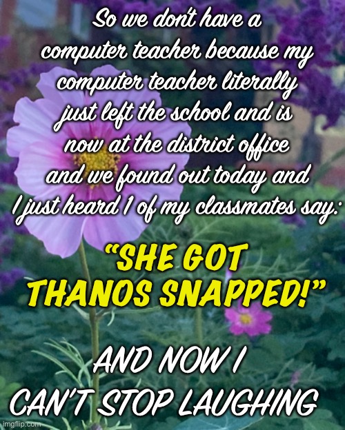 Random little thing and yes I made this during what should be my computer class | So we don’t have a computer teacher because my computer teacher literally just left the school and is now at the district office and we found out today and I just heard 1 of my classmates say:; “SHE GOT THANOS SNAPPED!”; AND NOW I CAN’T STOP LAUGHING | image tagged in computer class,school,thanos snapped,teacher go bye bye,wish it were my english teacher,no more teacher | made w/ Imgflip meme maker