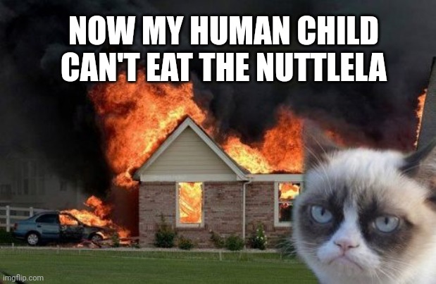Burn Kitty Meme | NOW MY HUMAN CHILD CAN'T EAT THE NUTTLELA | image tagged in memes,burn kitty,grumpy cat | made w/ Imgflip meme maker
