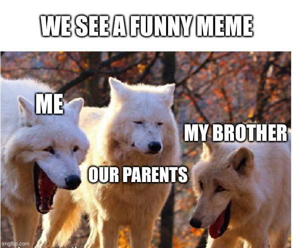 When we see a meme | WE SEE A FUNNY MEME; ME; MY BROTHER; OUR PARENTS | image tagged in laughing wolves | made w/ Imgflip meme maker