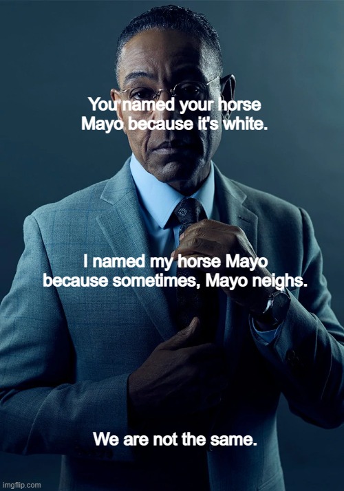 We are not the same | You named your horse Mayo because it's white. I named my horse Mayo because sometimes, Mayo neighs. We are not the same. | image tagged in we are not the same | made w/ Imgflip meme maker