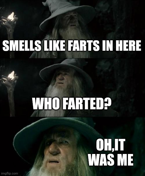 Confused Gandalf | SMELLS LIKE FARTS IN HERE; WHO FARTED? OH,IT WAS ME | image tagged in memes,confused gandalf | made w/ Imgflip meme maker