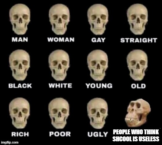PEOPLE WHO THINK SHCOOL IS USELESS | image tagged in idiot skull | made w/ Imgflip meme maker