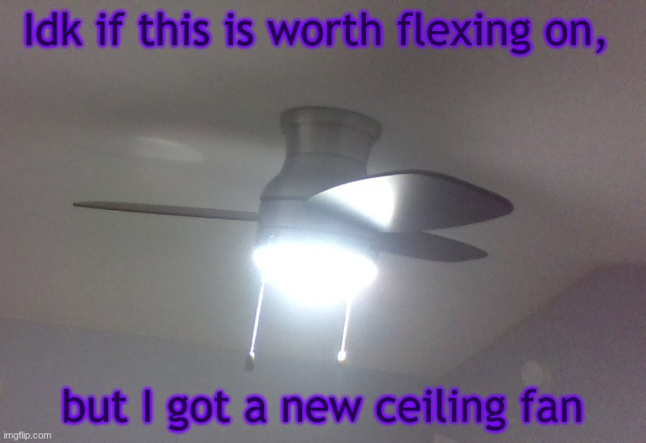 ----- | Idk if this is worth flexing on, but I got a new ceiling fan | image tagged in fan,flex,yeet,memes | made w/ Imgflip meme maker