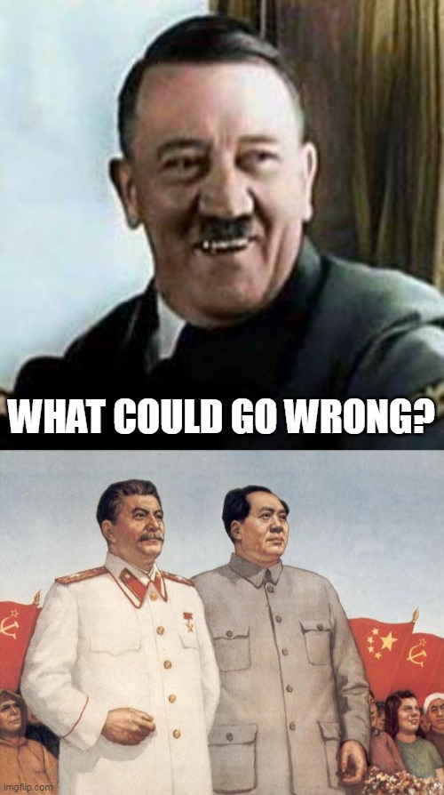 WHAT COULD GO WRONG? | image tagged in laughing hitler,stalin and mao | made w/ Imgflip meme maker