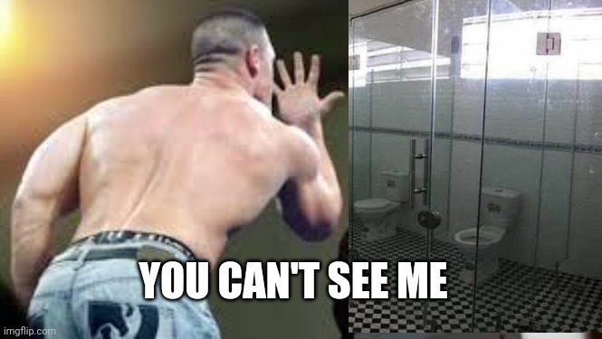 you can't see me | YOU CAN'T SEE ME | image tagged in you can't see me | made w/ Imgflip meme maker