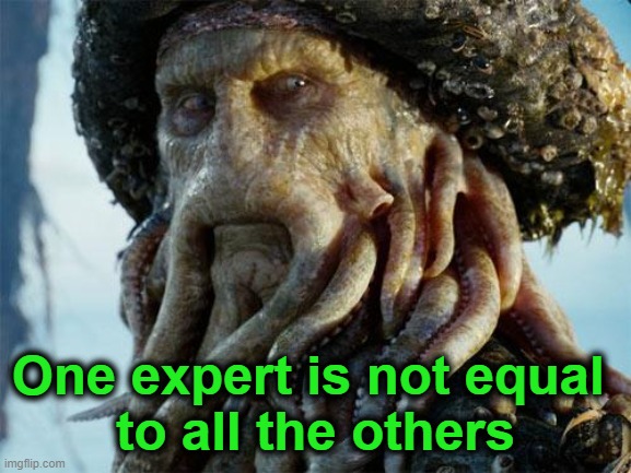 Davy Jones | One expert is not equal 
to all the others | image tagged in davy jones | made w/ Imgflip meme maker