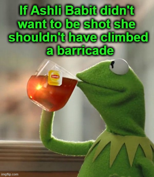 But That's None Of My Business Meme | If Ashli Babit didn't 
want to be shot she 
shouldn't have climbed
 a barricade | image tagged in memes,but that's none of my business,kermit the frog | made w/ Imgflip meme maker