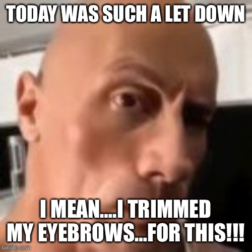 Todays let down |  TODAY WAS SUCH A LET DOWN; I MEAN….I TRIMMED MY EYEBROWS…FOR THIS!!! | image tagged in rock raising eyebrow,todaysreality | made w/ Imgflip meme maker