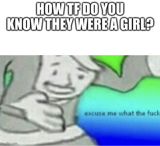 Excuse me wtf blank template | HOW TF DO YOU KNOW THEY WERE A GIRL? | image tagged in excuse me wtf blank template | made w/ Imgflip meme maker