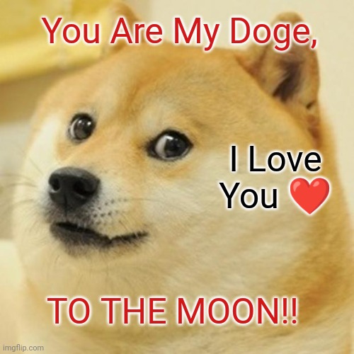 Love you to the moon | You Are My Doge, I Love You ❤️; TO THE MOON!! | image tagged in memes,doge,valentine's day,i love you | made w/ Imgflip meme maker