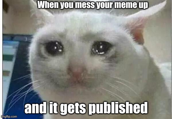 Comment if you can relate to this | When you mess your meme up; and it gets published | image tagged in crying cat,so true,memes,sad | made w/ Imgflip meme maker