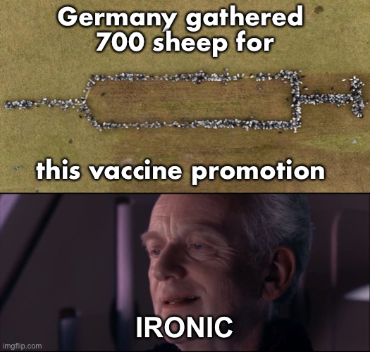 Can’t make this stuff up! | Germany gathered 
700 sheep for; this vaccine promotion; IRONIC | image tagged in palpatine ironic,sheep | made w/ Imgflip meme maker