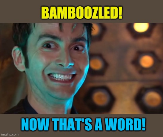 Dr Who - Excited | BAMBOOZLED! NOW THAT'S A WORD! | image tagged in dr who - excited | made w/ Imgflip meme maker