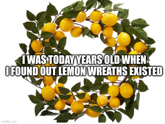 i was today years old | I WAS TODAY YEARS OLD WHEN I FOUND OUT LEMON WREATHS EXISTED | image tagged in lemons | made w/ Imgflip meme maker