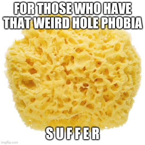 FOR THOSE WHO HAVE THAT WEIRD HOLE PHOBIA; S U F F E R | made w/ Imgflip meme maker