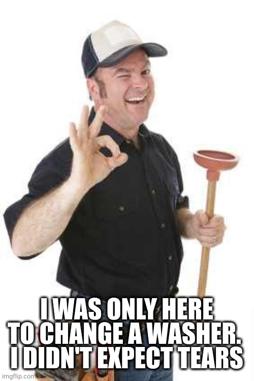 plumber | I WAS ONLY HERE TO CHANGE A WASHER. 
I DIDN'T EXPECT TEARS | image tagged in plumber | made w/ Imgflip meme maker