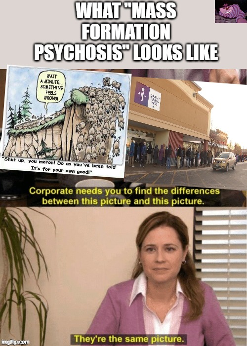 The lemmings are lining for the test | WHAT "MASS FORMATION PSYCHOSIS" LOOKS LIKE | image tagged in they re the same thing | made w/ Imgflip meme maker