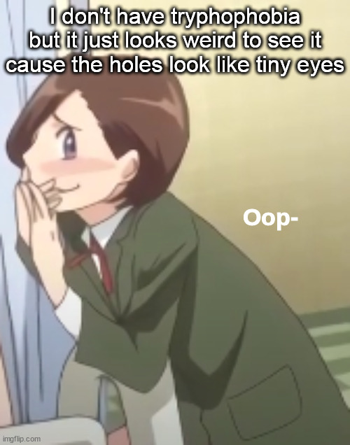 Oop- | I don't have tryphophobia but it just looks weird to see it cause the holes look like tiny eyes | image tagged in oop- | made w/ Imgflip meme maker