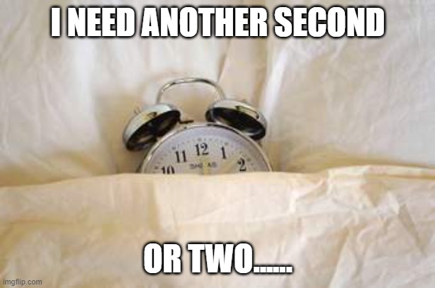 Daylight Savings | I NEED ANOTHER SECOND OR TWO...... | image tagged in daylight savings | made w/ Imgflip meme maker