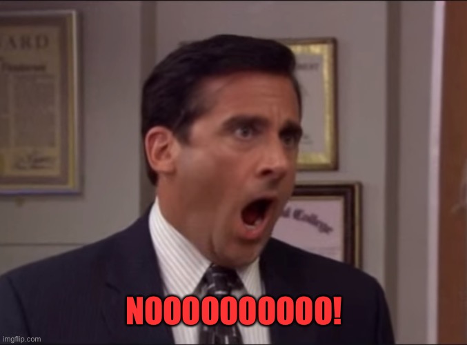 Michael Scott No | NOOOOOOOOOO! | image tagged in michael scott no | made w/ Imgflip meme maker