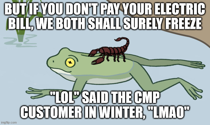Frog and Scorpion | BUT IF YOU DON'T PAY YOUR ELECTRIC BILL, WE BOTH SHALL SURELY FREEZE; "LOL" SAID THE CMP CUSTOMER IN WINTER, "LMAO" | image tagged in frog and scorpion | made w/ Imgflip meme maker