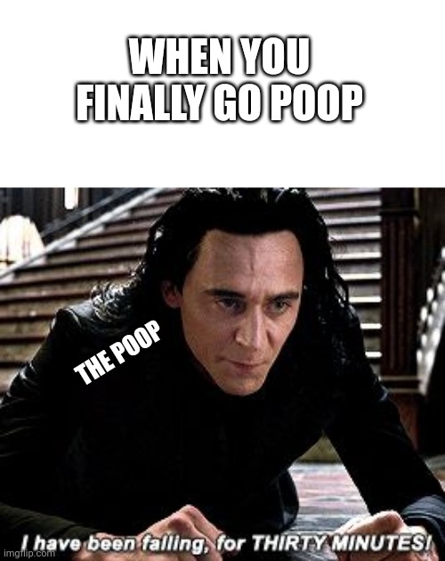 I have been falling for 30 minutes | WHEN YOU FINALLY GO POOP; THE POOP | image tagged in i have been falling for 30 minutes | made w/ Imgflip meme maker