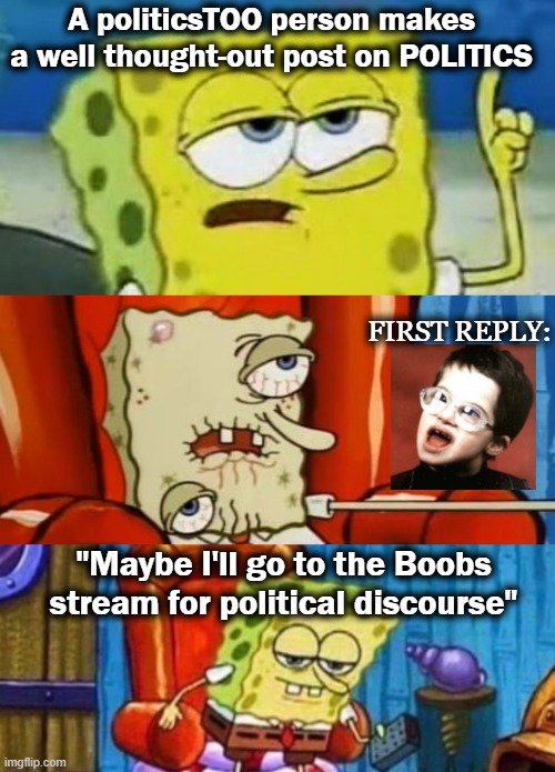 Something I've observed several times | A politicsTOO person makes a well thought-out post on POLITICS; FIRST REPLY:; "Maybe I'll go to the Boobs stream for political discourse" | image tagged in imgflip,politics,boobs | made w/ Imgflip meme maker