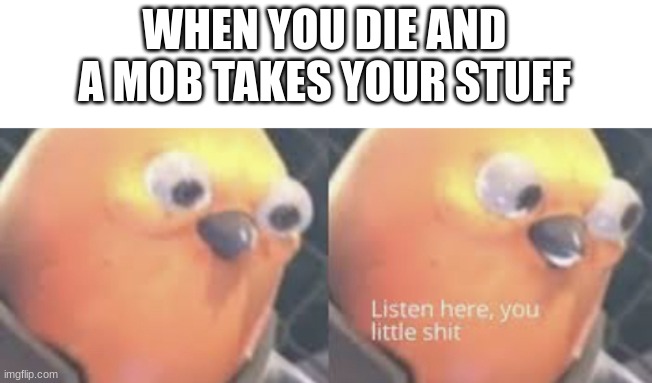 i HATE this |  WHEN YOU DIE AND A MOB TAKES YOUR STUFF | image tagged in listen here you little shit bird | made w/ Imgflip meme maker