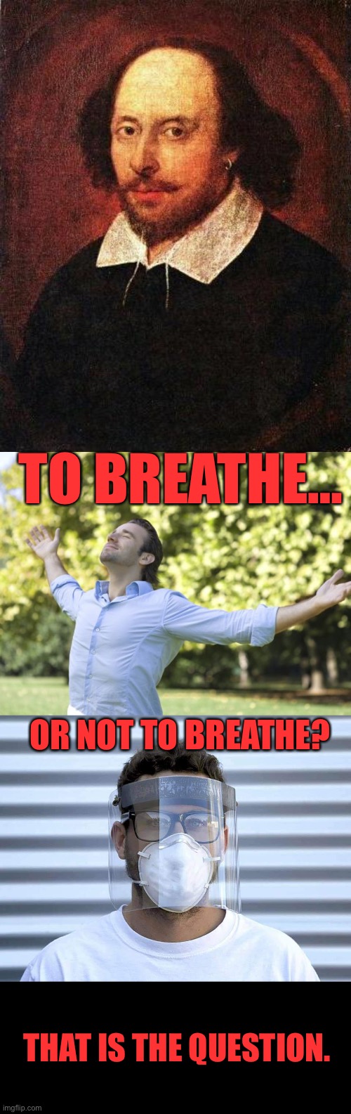 I choose to breathe freely… sweet, clean, fresh air… |  TO BREATHE…; OR NOT TO BREATHE? THAT IS THE QUESTION. | image tagged in shakespeare | made w/ Imgflip meme maker