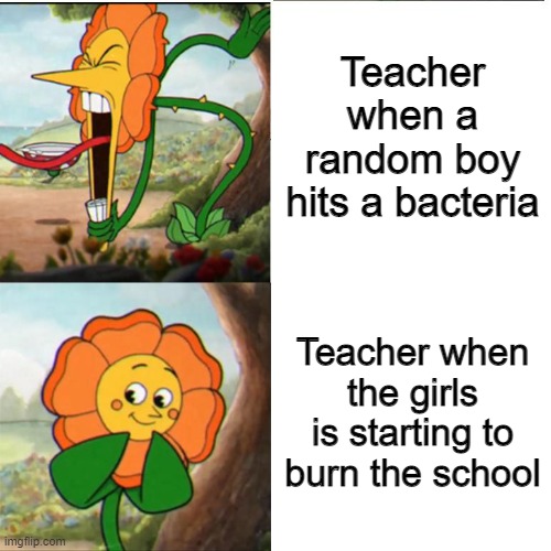 this is my class | Teacher when a random boy hits a bacteria; Teacher when the girls is starting to burn the school | image tagged in cuphead flower | made w/ Imgflip meme maker